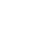 White Check Icon
